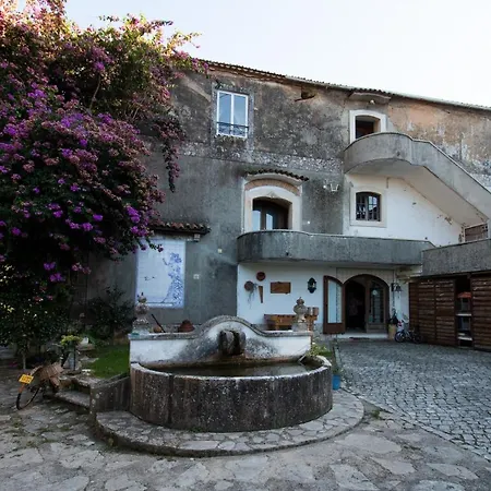Quinta De Rio Alcaide Farm stay
